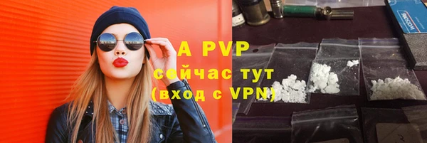 индика Балахна