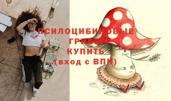 индика Балахна