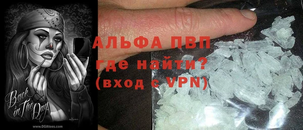 индика Балахна