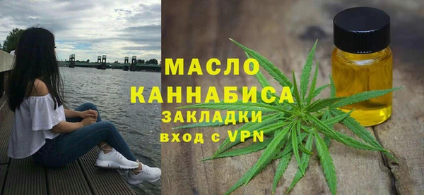 индика Балахна
