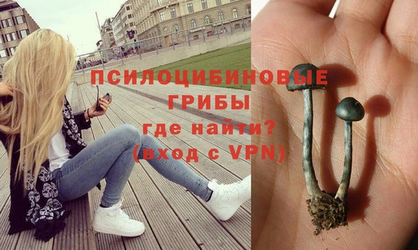 экстази Гусиноозёрск