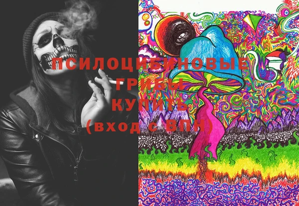 PSILOCYBIN Балабаново