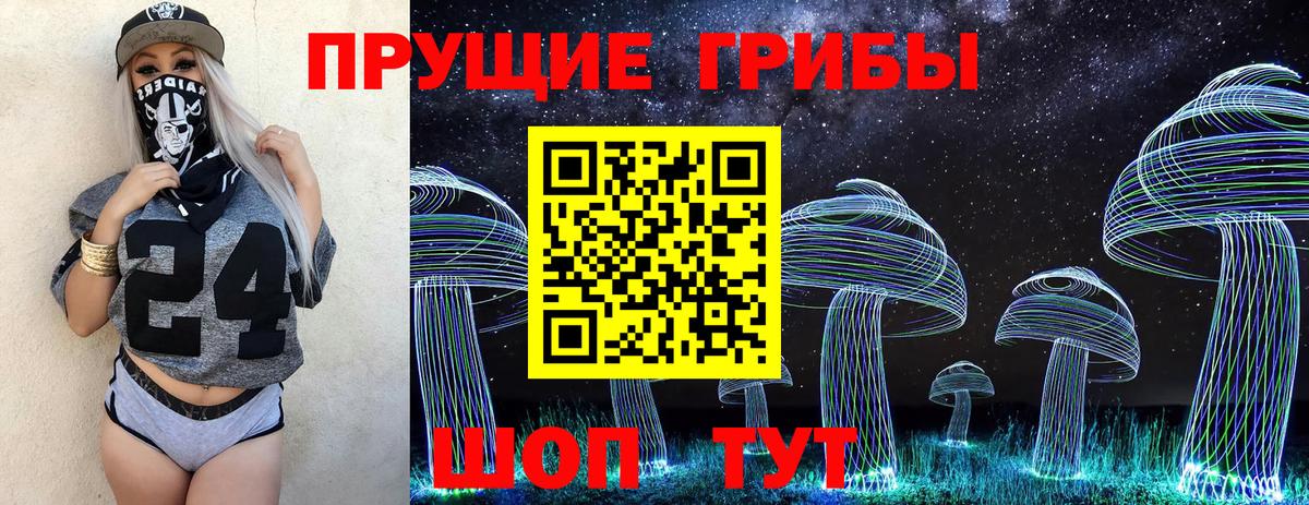 Гатчина  Псилоцибиновые грибы мицелий  Вход с VPN 